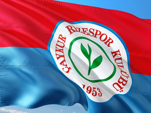 如楚阿梅尼 如楚阿梅尼