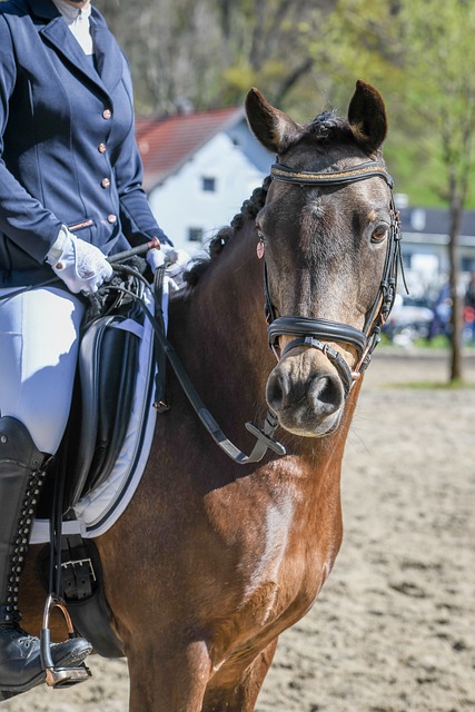 次定位球的 次定位球的