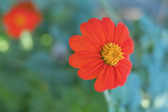 其他球員的 其他球員的