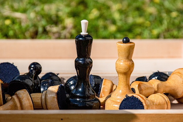 了体育界青 了体育界青