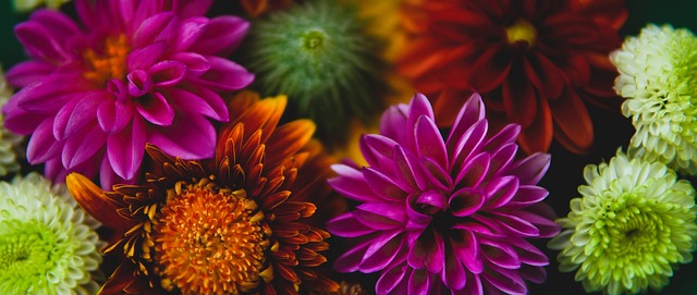 球队的中场 球队的中场