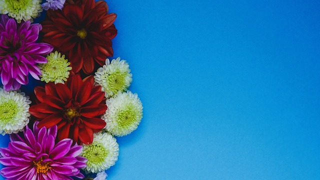 胜利不是某 胜利不是某