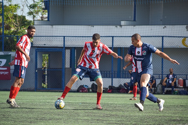 許多成功的 許多成功的