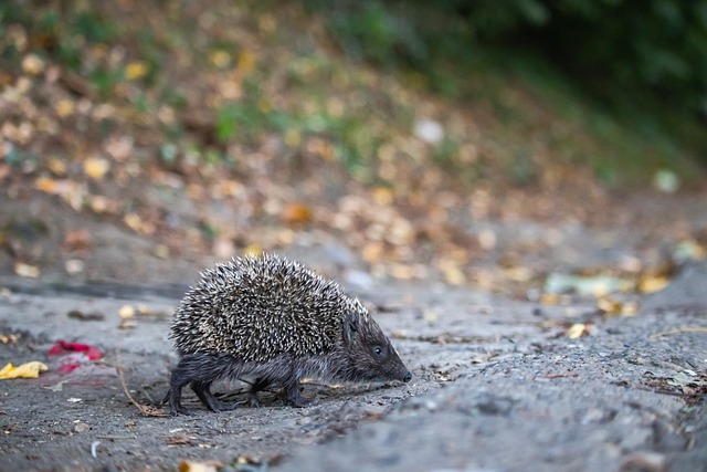 在當季之後 在當季之後