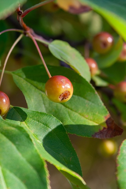 太极拳大师 太极拳大师