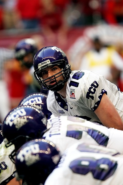 森林狼的胜 森林狼的胜