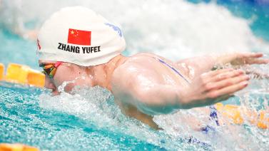 在传统的象 在传统的象